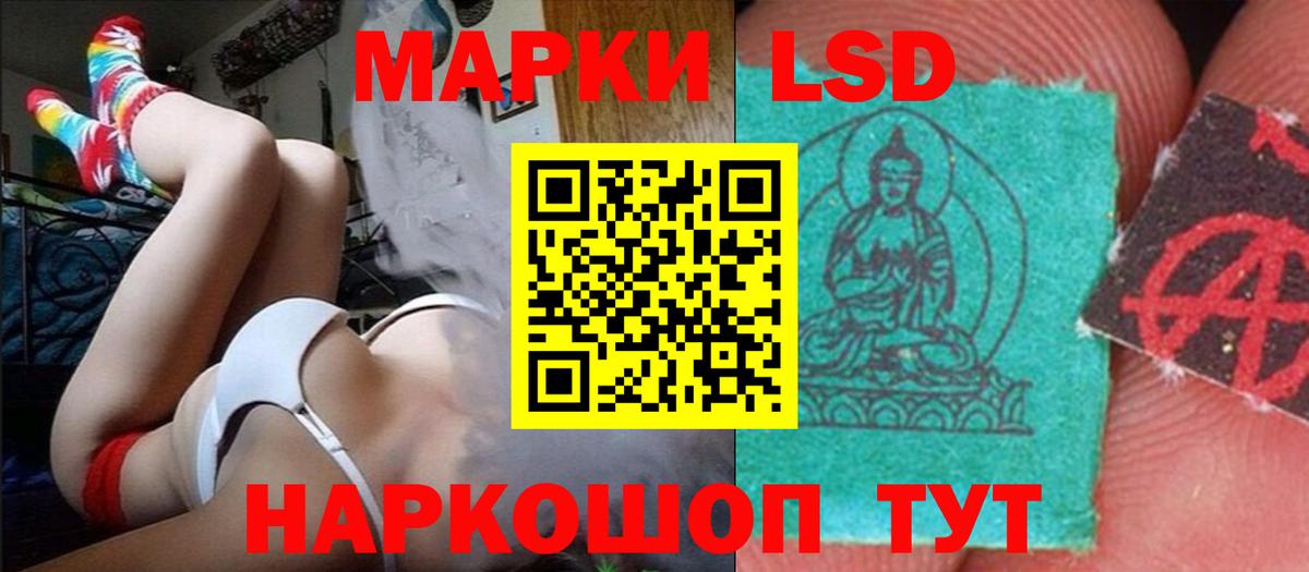 ЛСД экстази кислота  Вход с VPN  Курчалой 