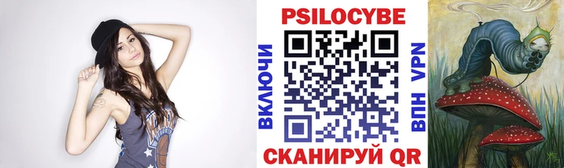 цены   omg ссылки  Галлюциногенные грибы Magic Shrooms  Курчалой 