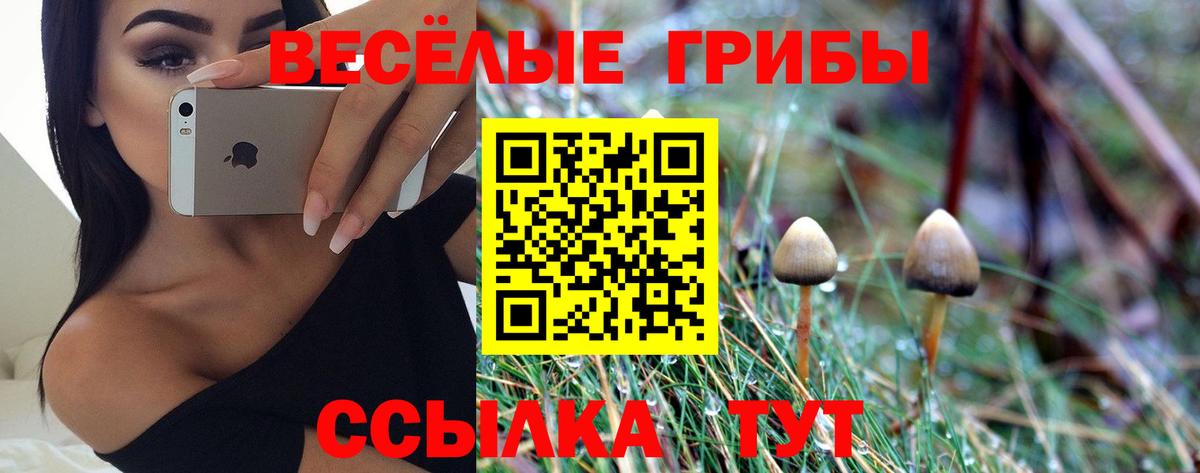 Курчалой  Псилоцибиновые грибы мухоморы  Псилоцибиновые грибы GOLDEN TEACHER  Вход с VPN 