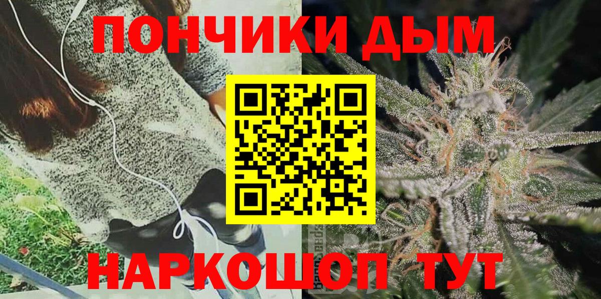 МАРИХУАНА сатива Курчалой